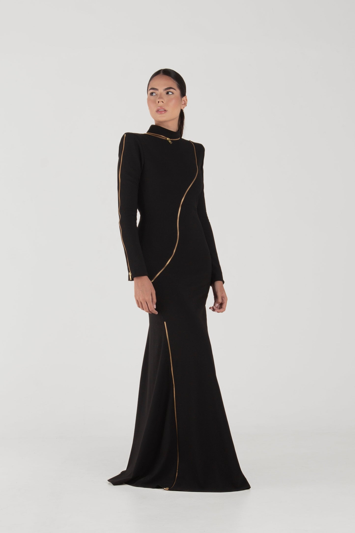 Rina Black Long Sleeve Dress